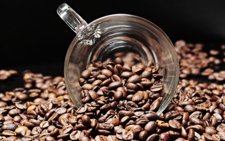 graines de café